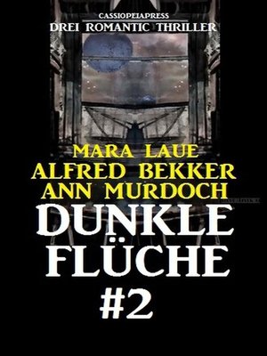 cover image of Dunkle Flüche #2